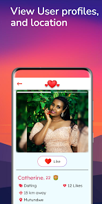 good nigerian dating sites